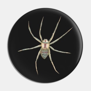 Spider Pin