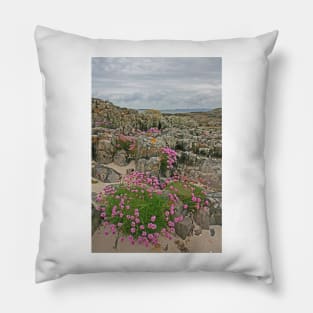 Sea Pink, Scottish Highlands, May 2023 Pillow