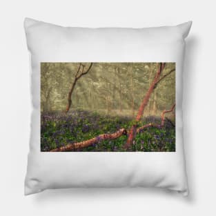 Sunlight in a Bluebell Wood Pillow