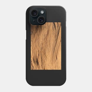 Shale rock Phone Case