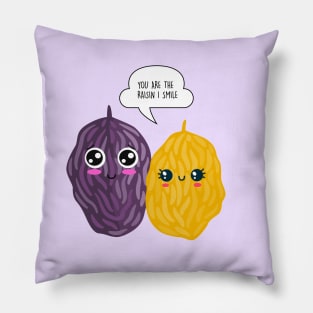 You are the raisin I smile - Funny Valentines Day Pillow