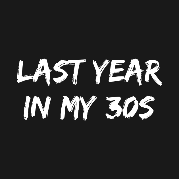 last year in my 30s by manandi1