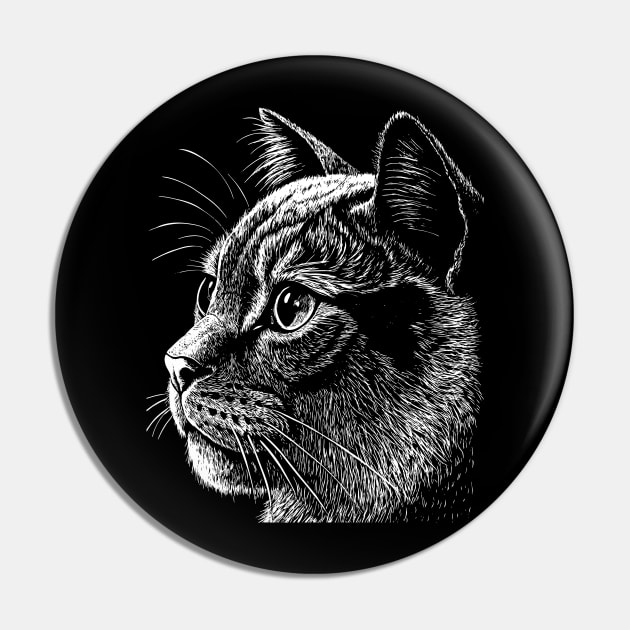 British shorthair cat Pin by Khrystyna27