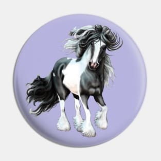 Gypsy Vanner Horse, Prince Pin