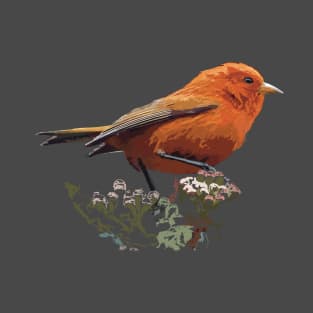 Hawai’i ‘Ākepa, endemic Hawaiian honeycreeper T-Shirt