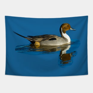 Pintail reflections Tapestry