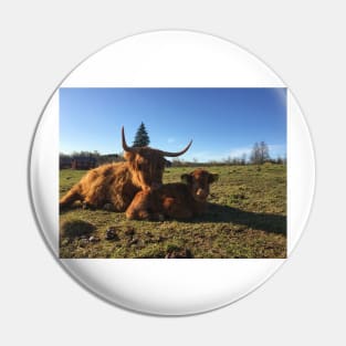 Scottish Highland Cattle Cow and Calf 1755 Pin