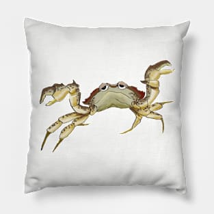 crabby Pillow