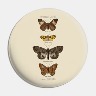 Vintage butterflies Pin