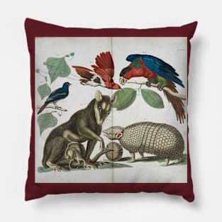 Molucca Opossum, Didelphis molucca and Armadillo, Tolypeutes matacus By Albertus Seba Pillow