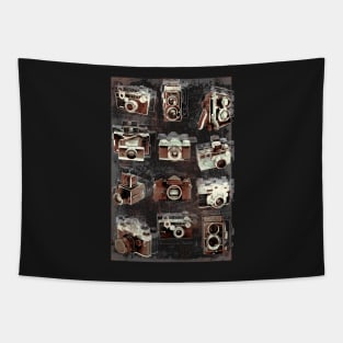 Vintage cameras Tapestry