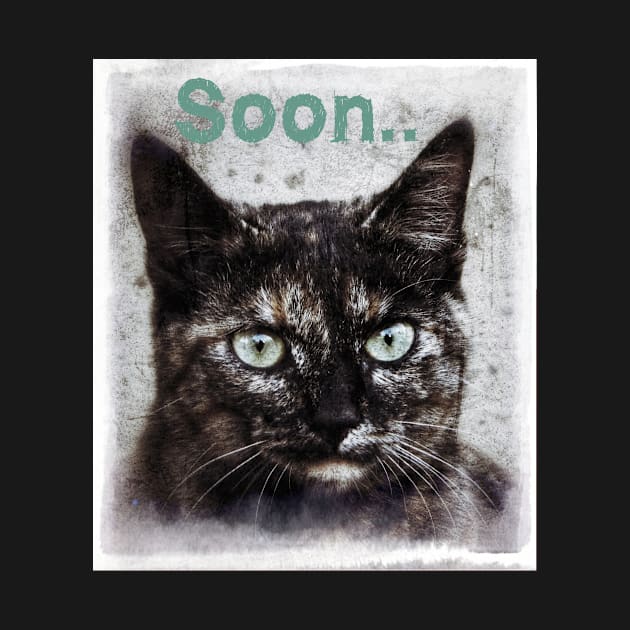 Soon.. by Catness Grace Designs