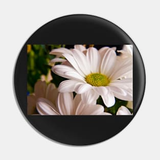 White Chrysanthemum flower Pin