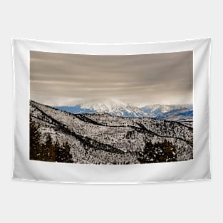 Glenwood Springs Park View Tapestry