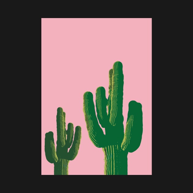 Cactus on pink background by dave2142