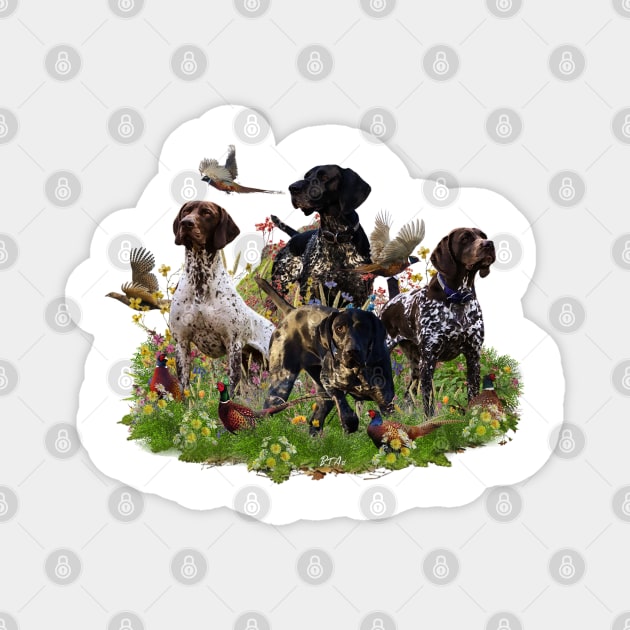 German Shorthaired Pointer Magnet by German Wirehaired Pointer 