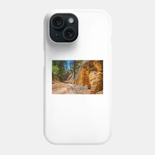 Lick Wash Trail Hike Phone Case