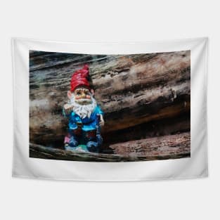 Woodland Gnome 1 Tapestry