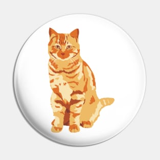 Ginger Cat Pin