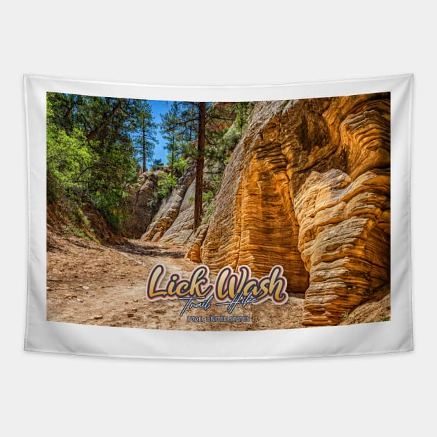 Lick Wash Trail Hike Tapestry by Gestalt Imagery