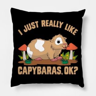 I just really like capybaras, ok? Funny pig Pillow