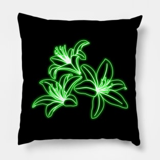 /home/user/Téléchargements/green lys.png Pillow