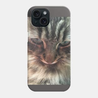 Iggie, The Adorable, Rescued Main Coon Kitten Phone Case