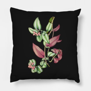 Tradescantia zebrina - Revue horticole - Botanical Illustration Pillow