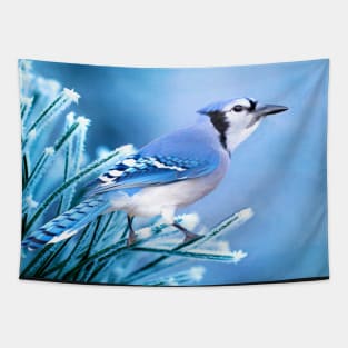 Blue Jay on One Frosty Morning Tapestry