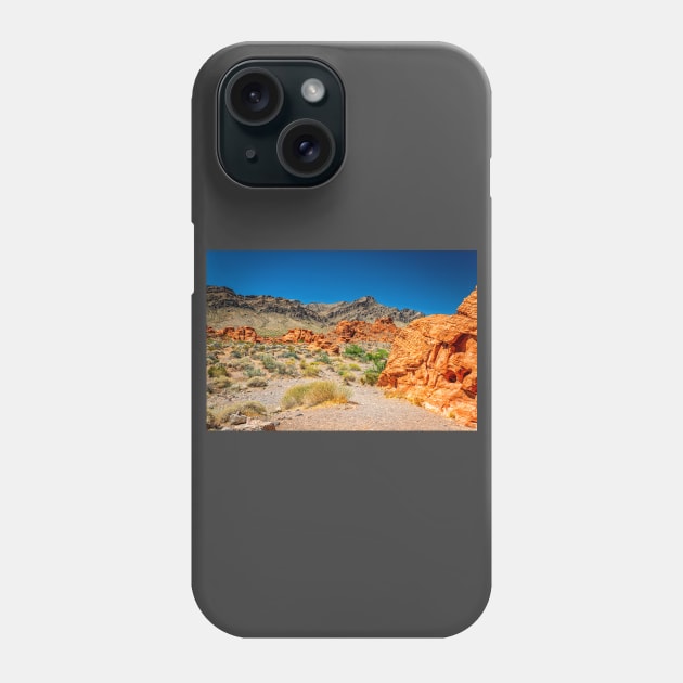 Valley of Fire State Park Phone Case by Gestalt Imagery