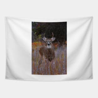 The Prince - White-tailed Deer Tapestry