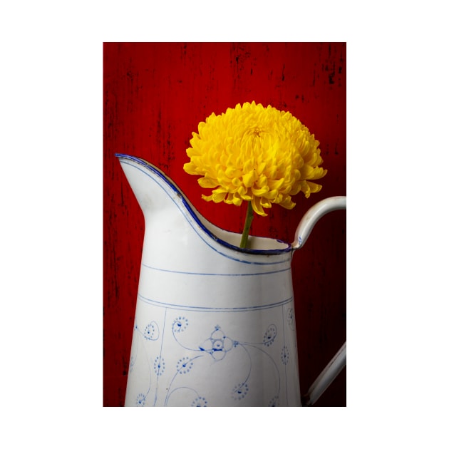 Yellow Mum In White French Pitcher by photogarry