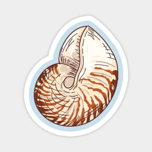 Seashell Magnet