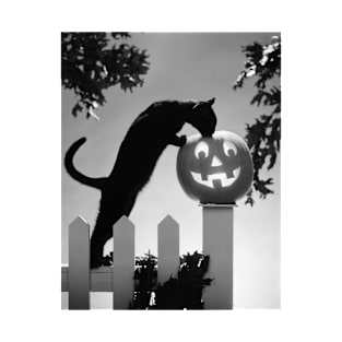 Black Cat and Halloween Jack O Lantern Pumpkin T-Shirt