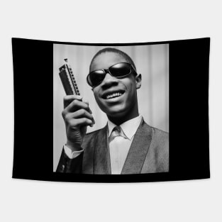 Young Stevie Wonder 1963 Tapestry