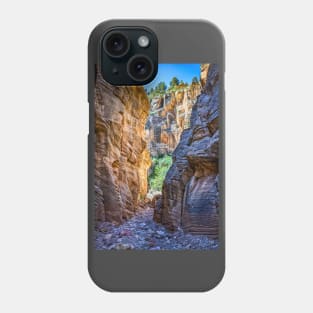 Lick Wash Trail Hike Phone Case