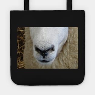 Sheep Snout 3 Tote