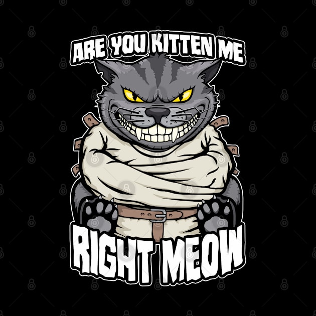 Are You Kitten Me Right Meow Crazy Cat Funny Mad Cats Lover by Grandeduc