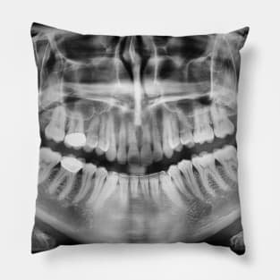 X-Ray Pillow