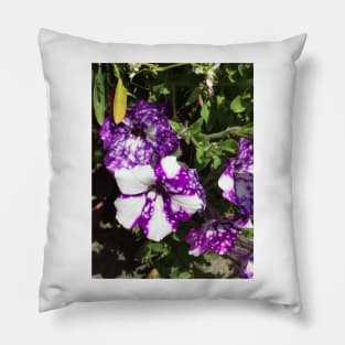 Purple And White Nasturtiums Pillow