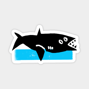 shark Magnet