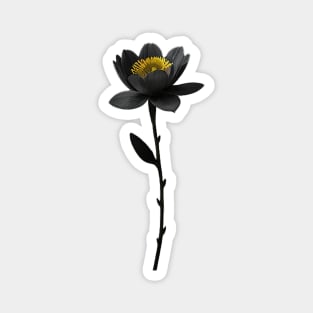 Black Flower with Yellow Center Magnet