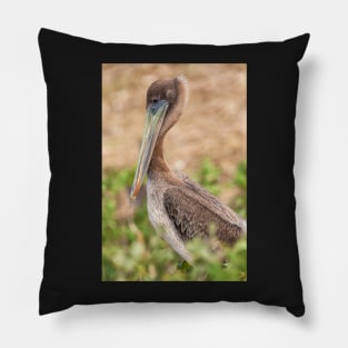 Brown Pelican Pillow