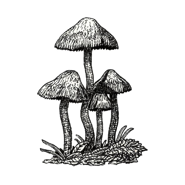 Wild mushrooms by Bioshart