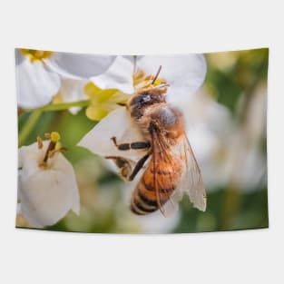 Pollen Collector. Photograph Tapestry