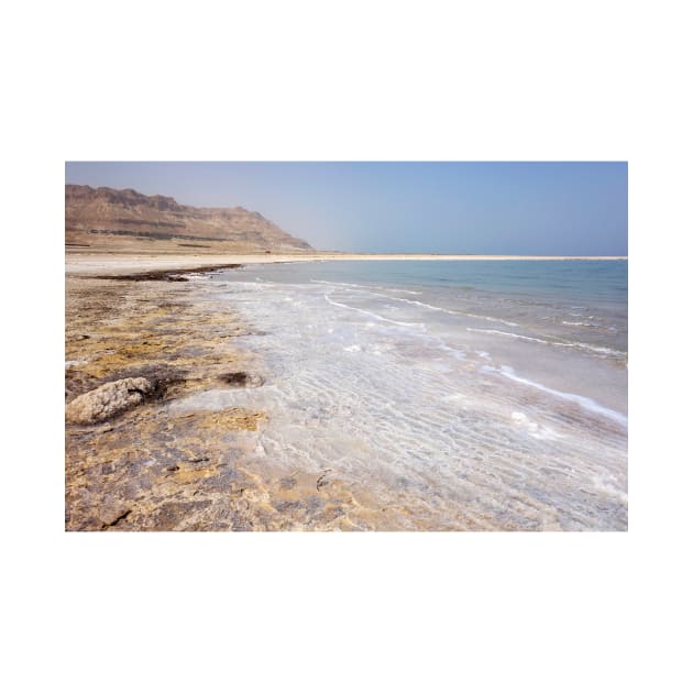 Salt deposits on the shore of the Dead Sea, Israel (C040/6831) by SciencePhoto