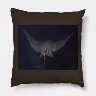 Eagle Ray In Flight Pillow