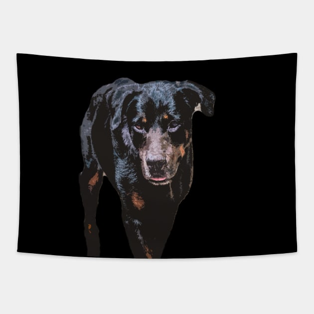 rottweiler Tapestry by rickylabellevie