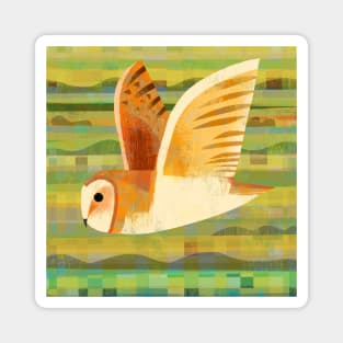 Barn Owl Magnet