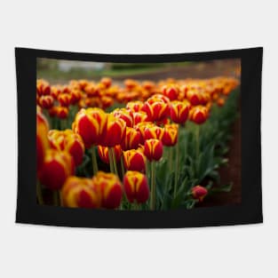 Red Yellow Tulips Tapestry